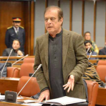 Senate passes PECA, Digital Nation bills despite opposition outcry and journalist walkout