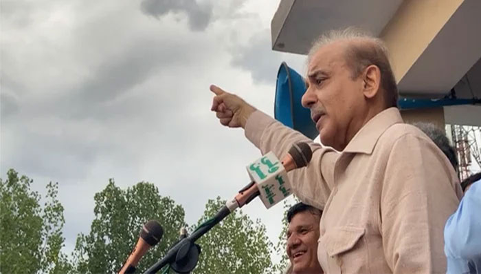 Shehbaz credits PML-N for rescuing Pakistan from eco default