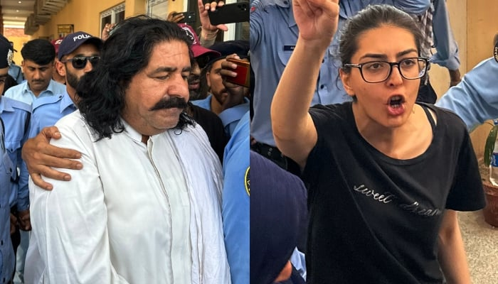 3-day physical remand of Imaan Mazari, Ali Wazir granted in sedition case