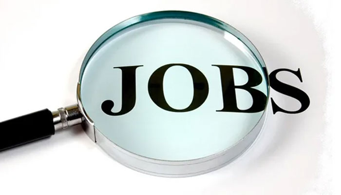 Sindh govt job portal: How to explore latest job opportunities