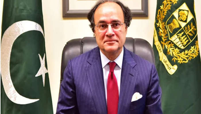 Pakistan seeks boost in G2G investment from Saudi Arabia: FinMin