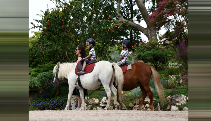 Paris to ban pony rides for children