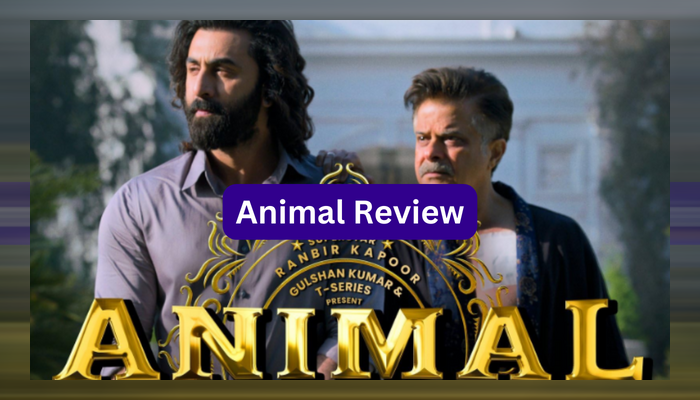 Even animals won't watch: 'Animal' movie review shocks viewers