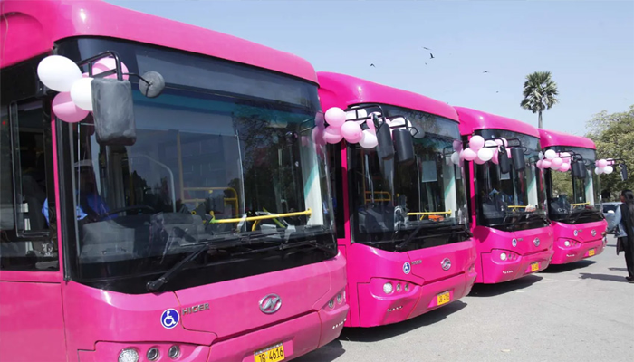 Pink bus service offers free rides for women